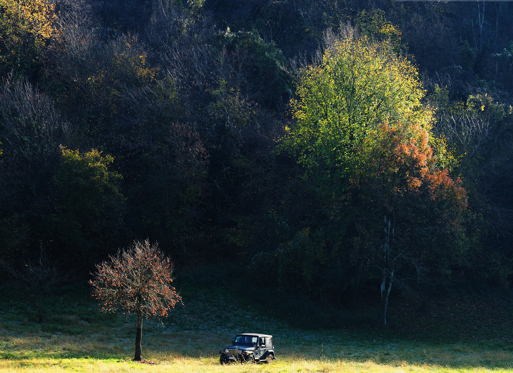 Fuoristrada nell'autunno