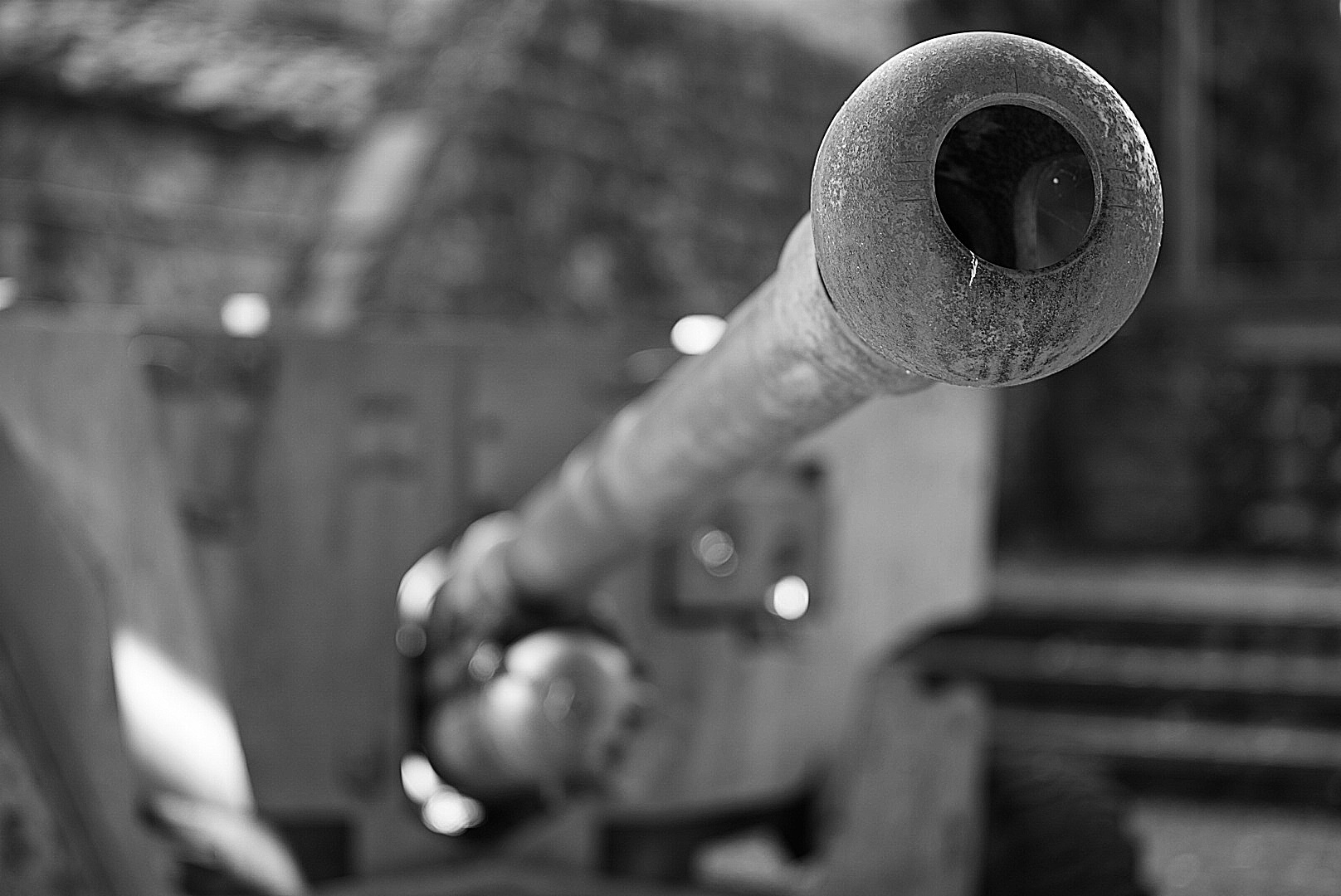 Cannon in B&W