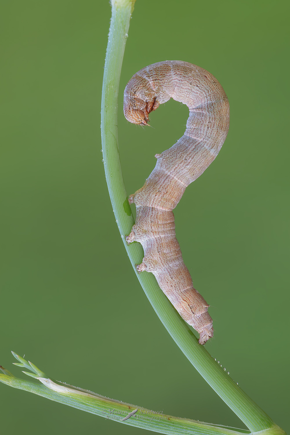 Punto-interrogativo_DSC2945