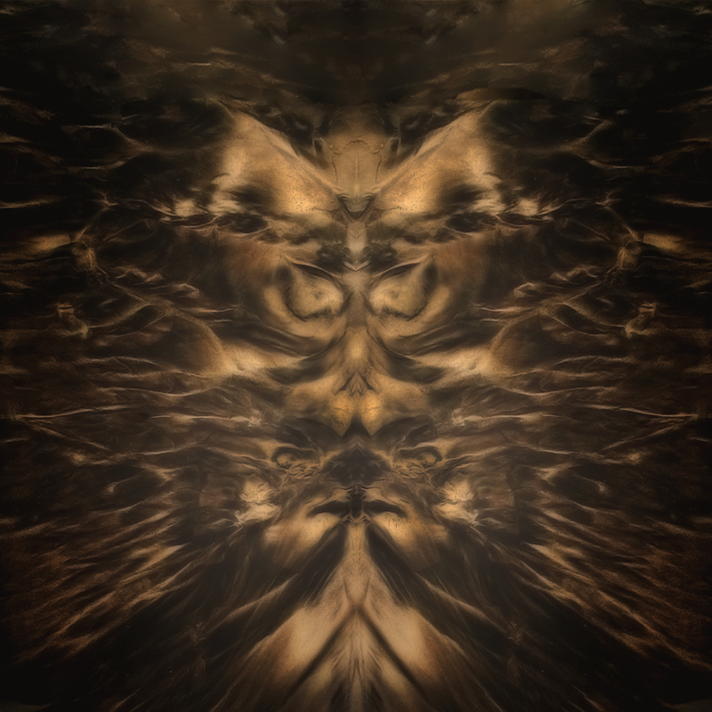 omaggio a Carlos Castaneda