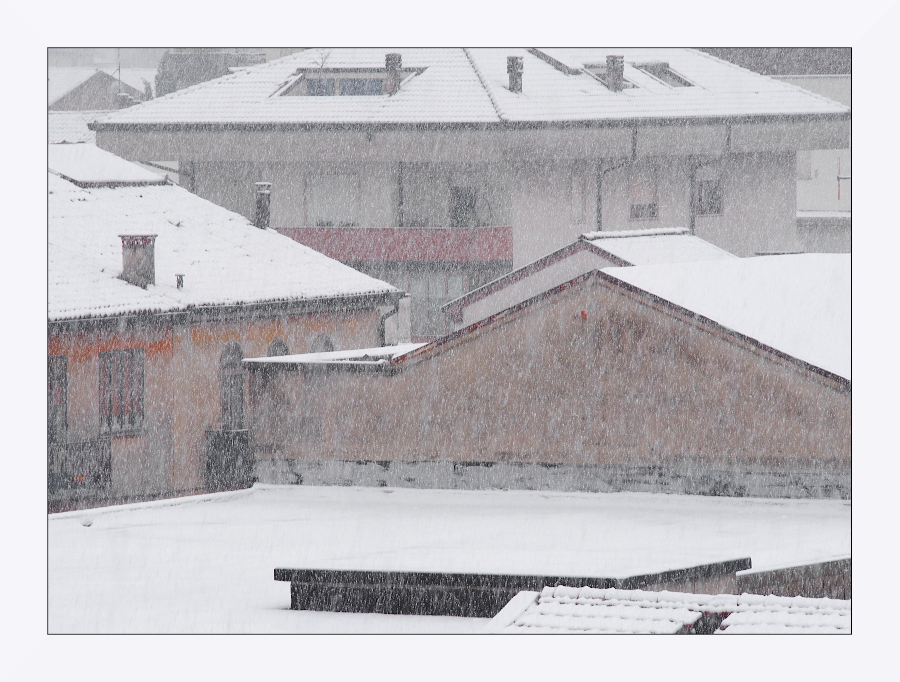 Nevica in citt�
