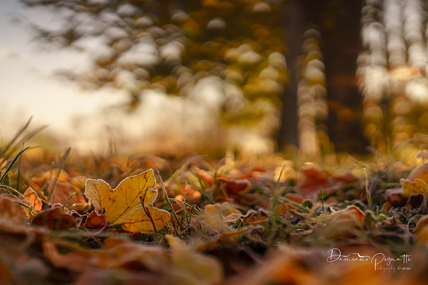 Calde Sfumature prima del freddo