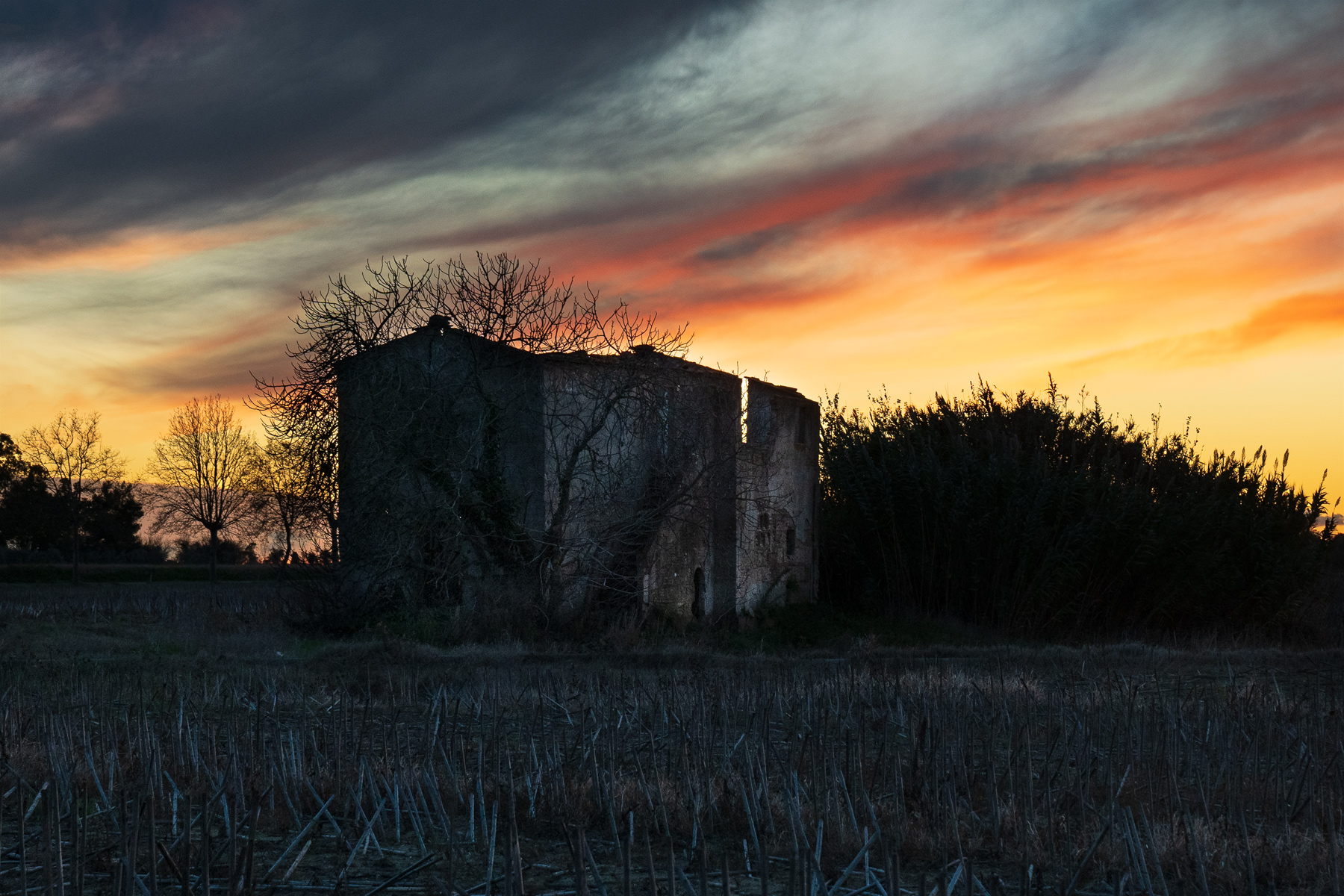 Non aprite quella porta