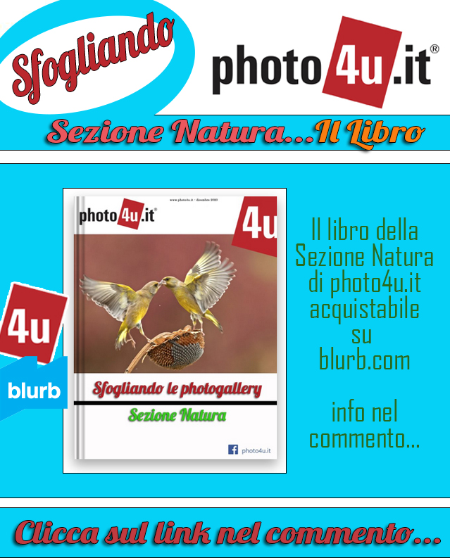 Sfogliando le photogallery: Sezione Natura il Libro
