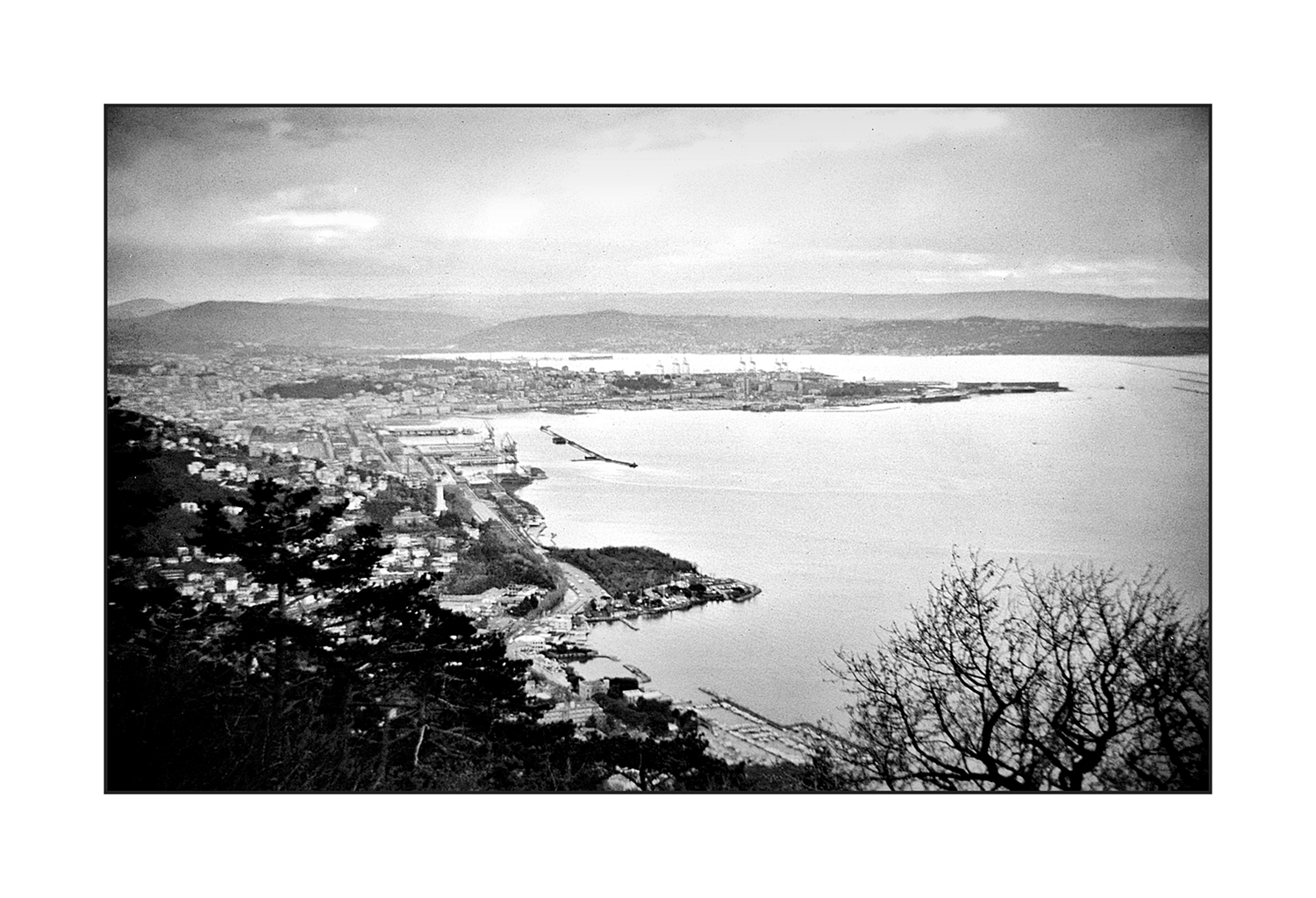 Trieste da Monte Grisa