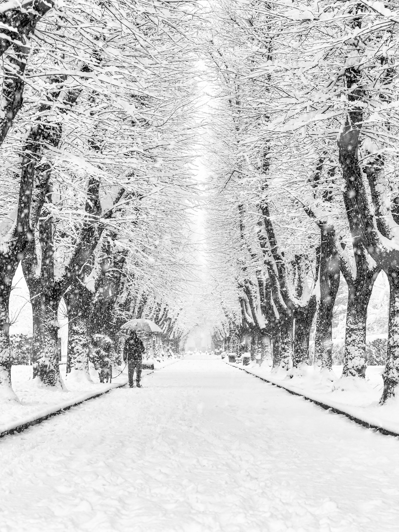 Passeggiando sotto la neve