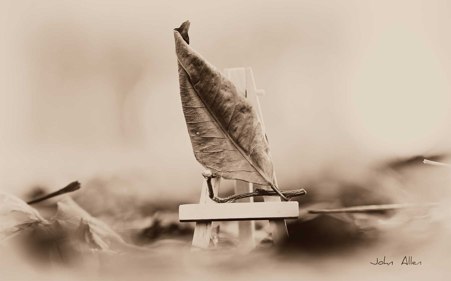 Foglia su cavalletto di legno