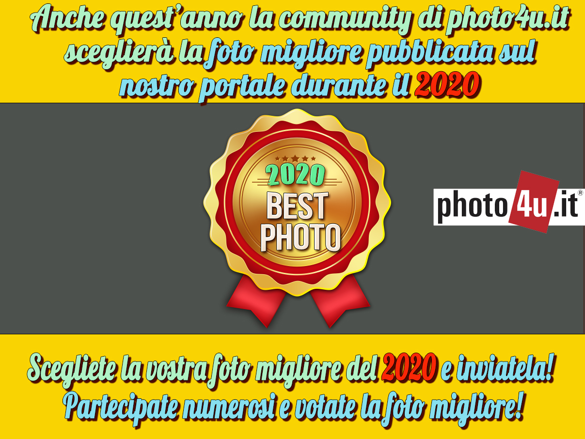 La nostra miglior foto del 2020 su photo4u.it