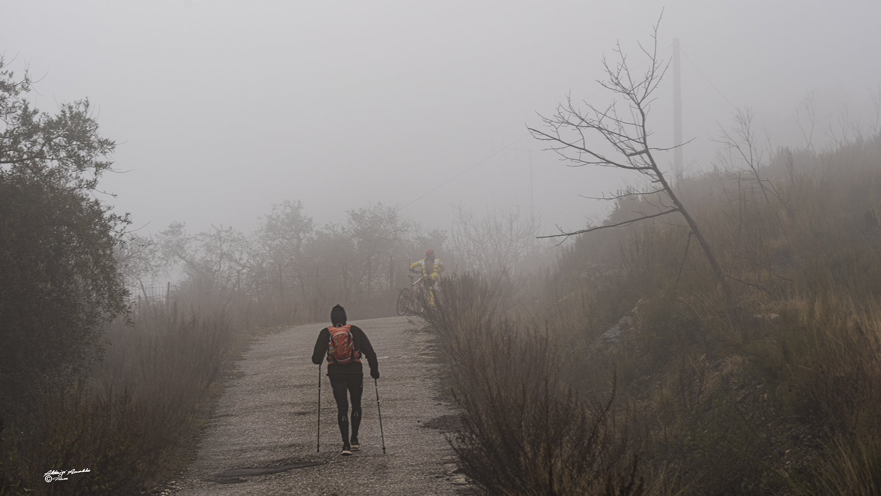 Non c'� la faccio pi�...