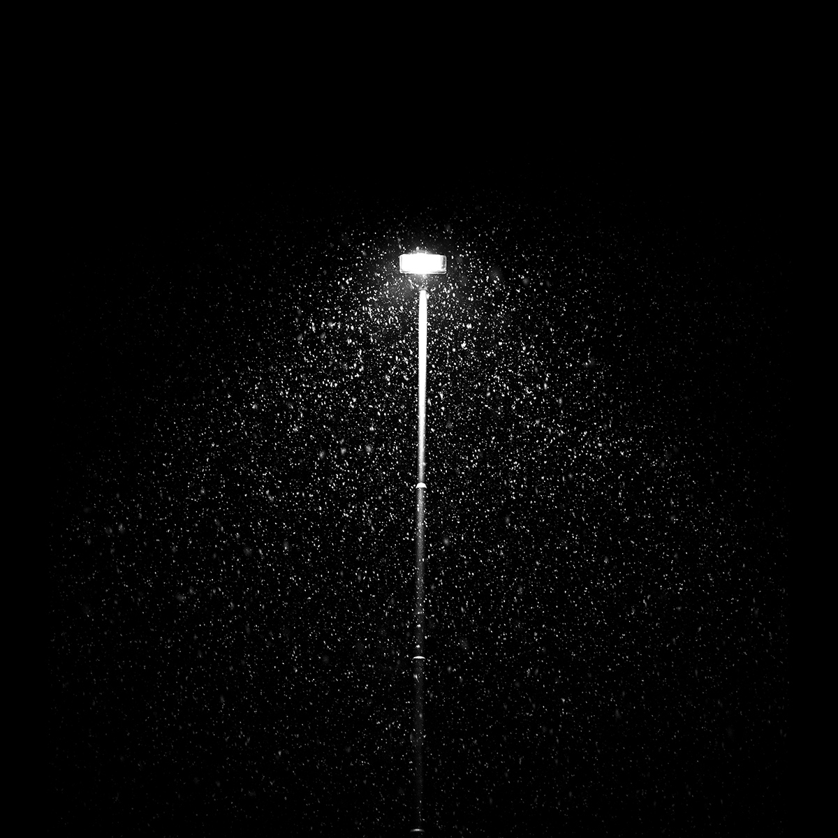 la nevicata notturna