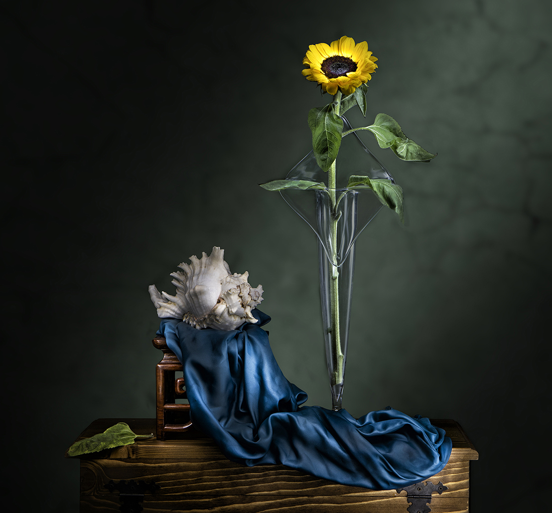 Il girasole e la conchiglia