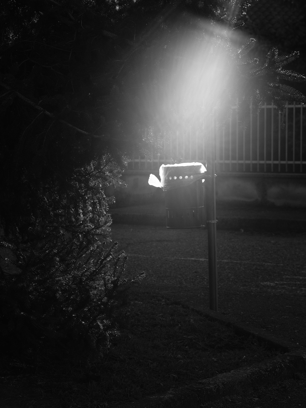 In mano un sudicio fazzoletto