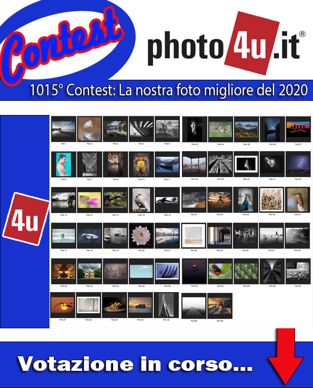 Contest Annuale - Votazione in corso...