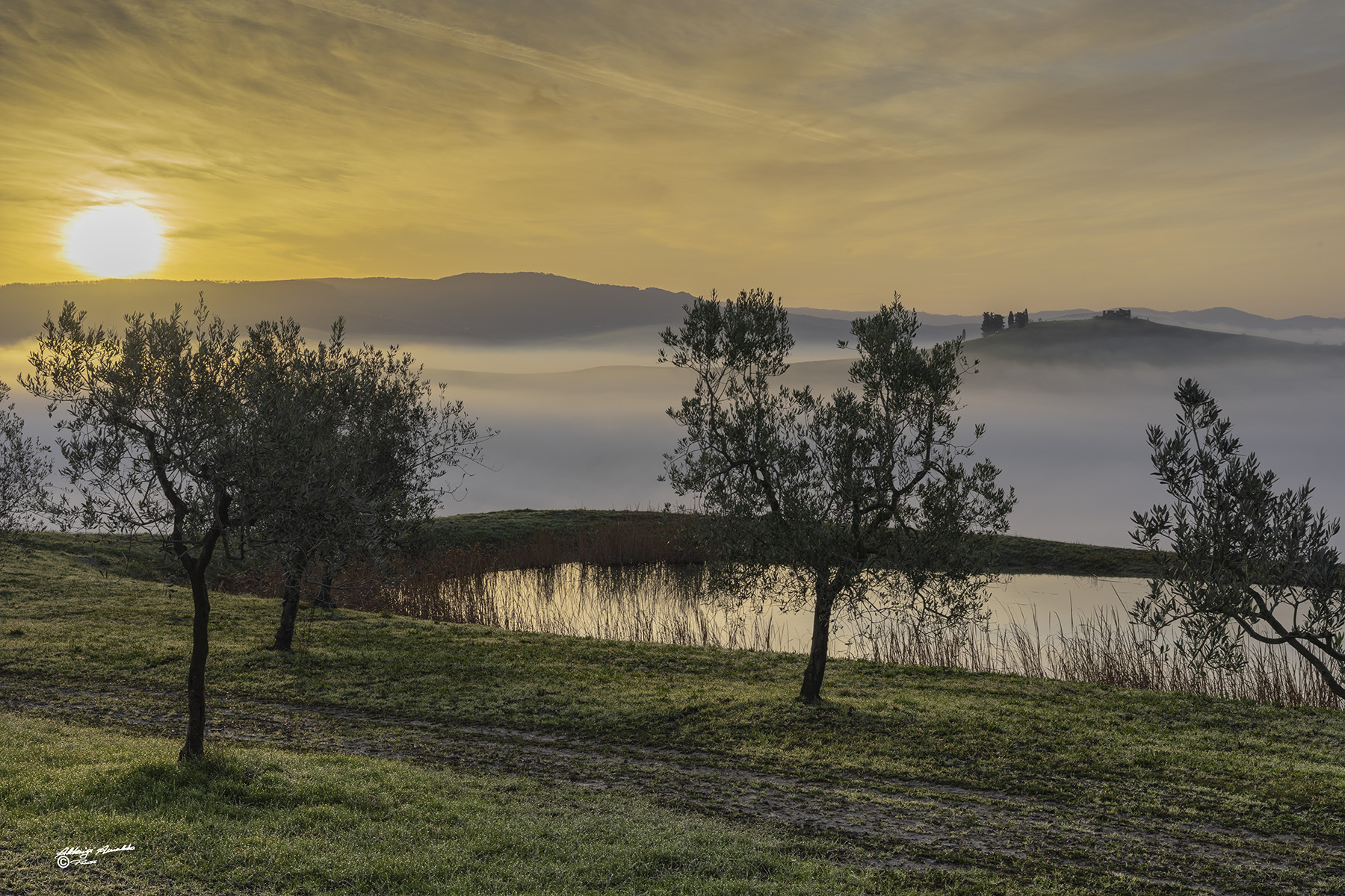 Il piccolo laghetto di campagna..