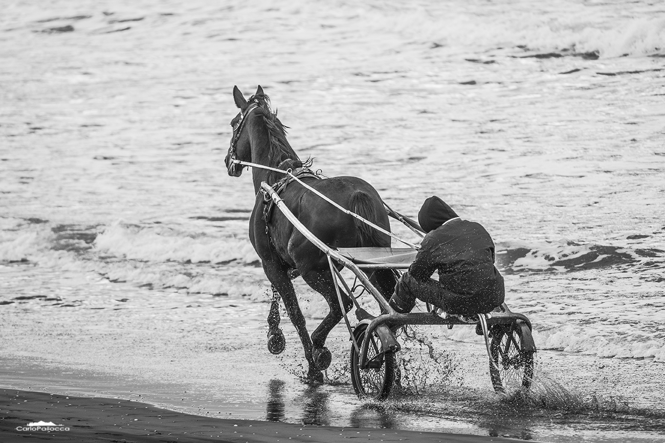 ..passeggiata mattutina!!