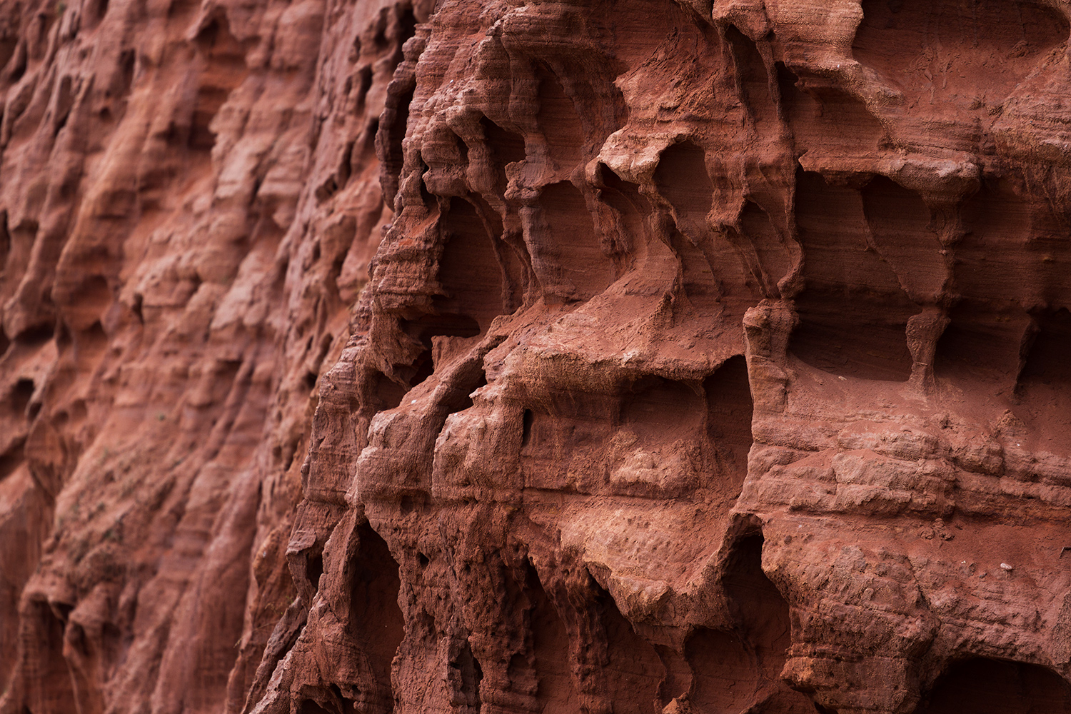 Red Cliffs