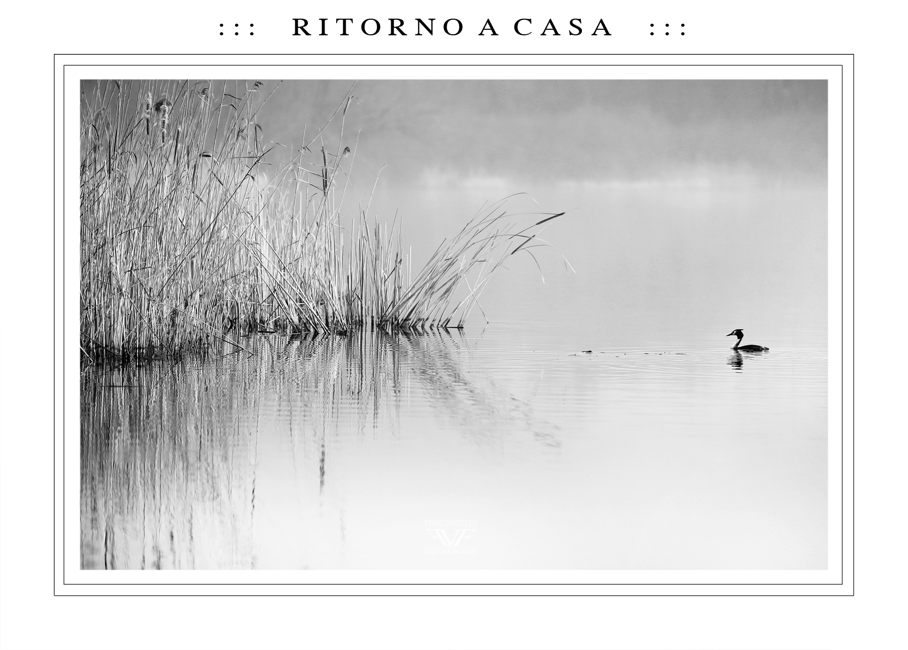 ::: R I T O R N O  A  C A S A :::