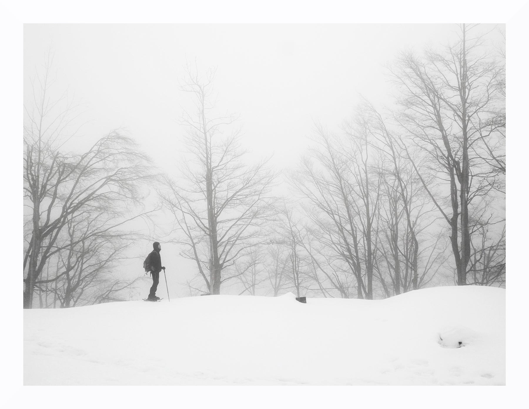 Autoscatto nell'inverno nebbioso