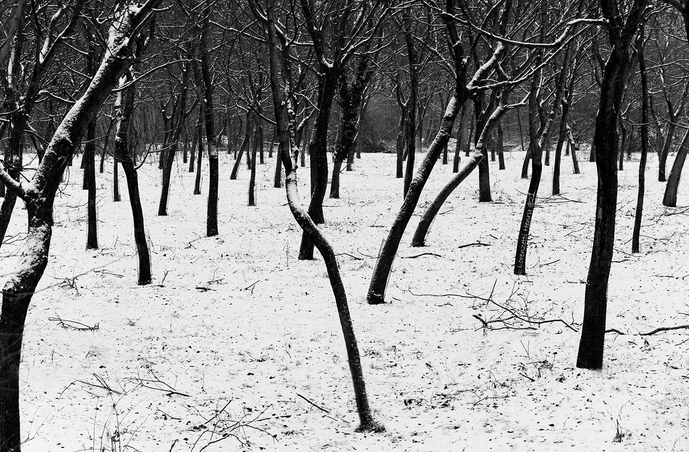 in frac bianco e nero
