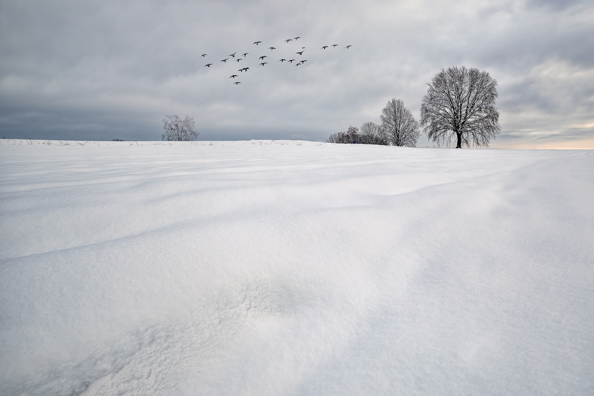 Flying over the snow