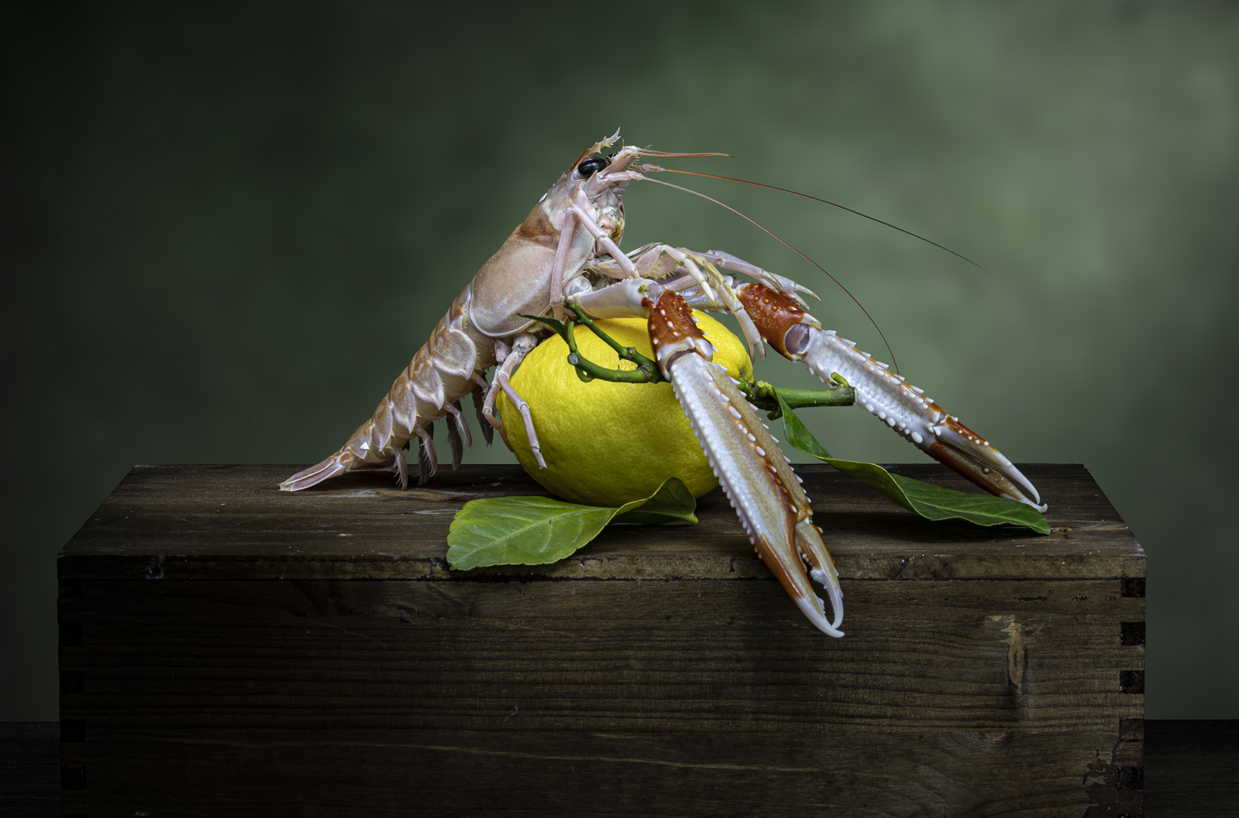 Lo scampo e il limone