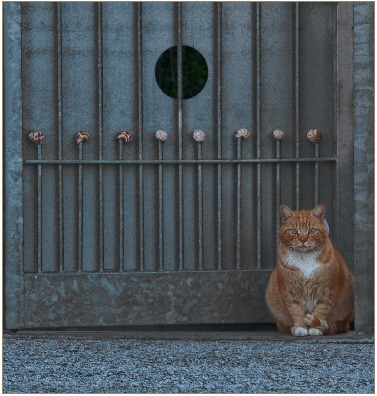 la casa delle lumache...