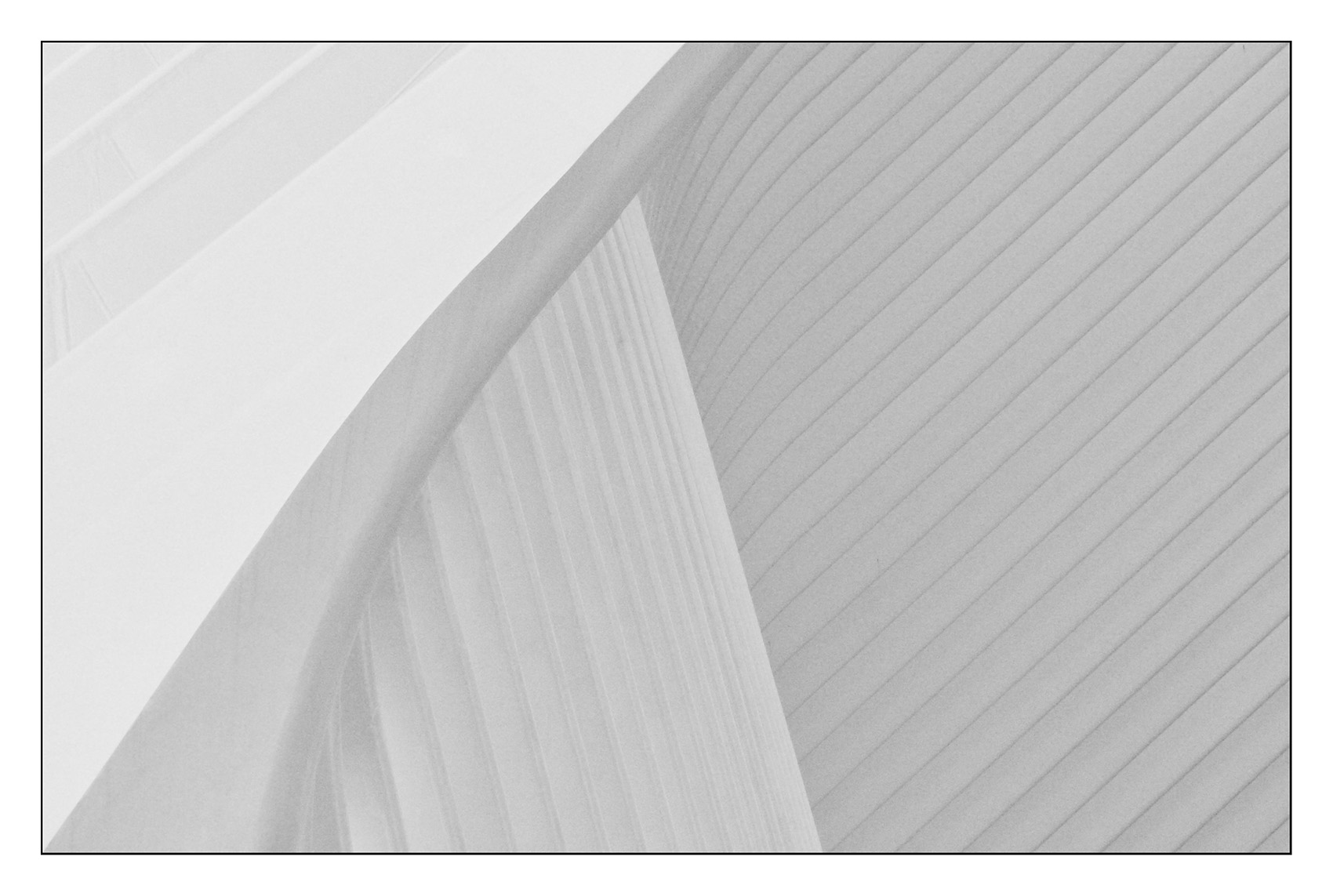 New York. L'Oculus di Calatrava