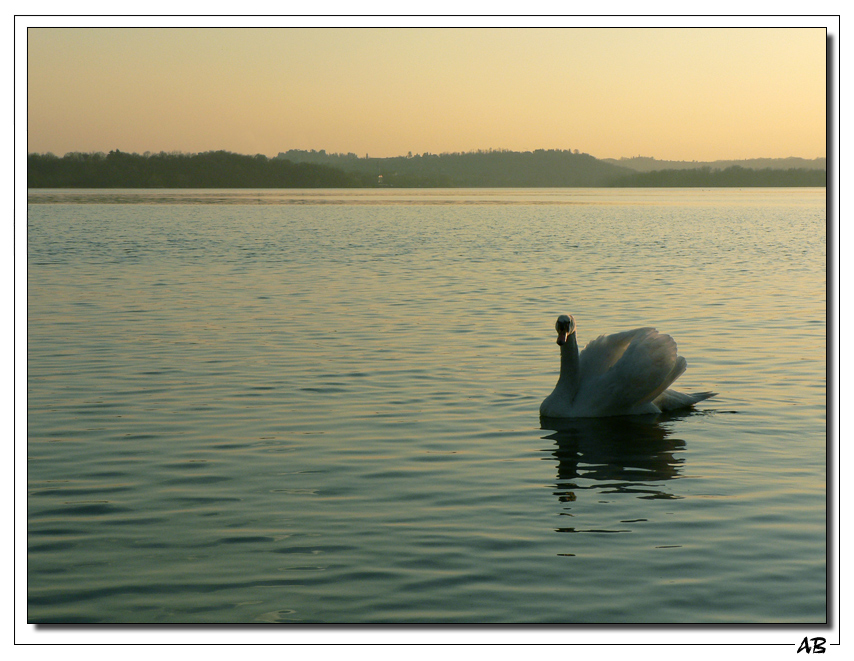 Veliero, un altro...