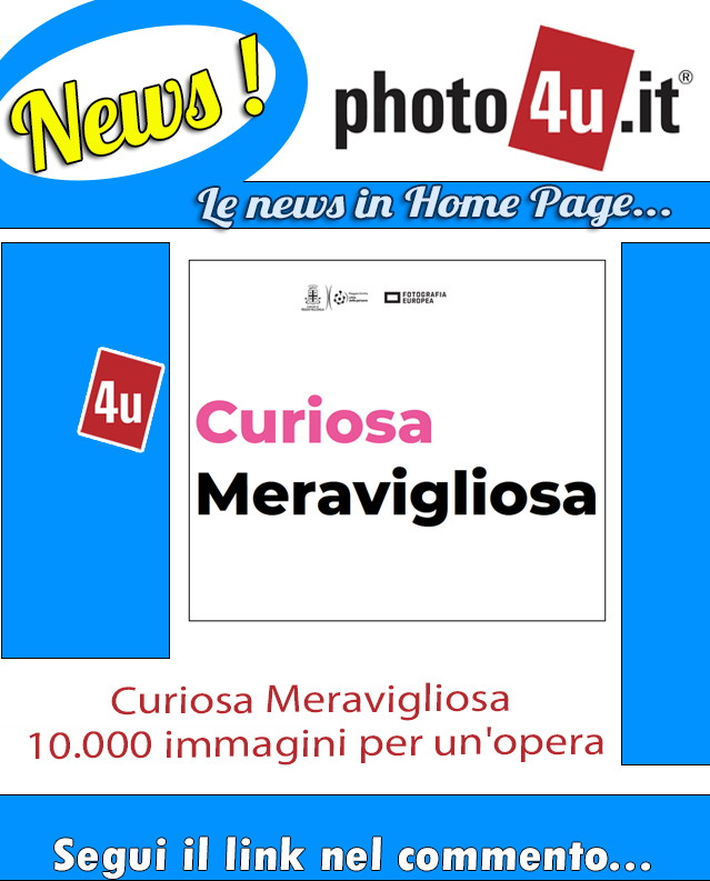 Curiosa Meravigliosa - 10.000 immagini per un'opera