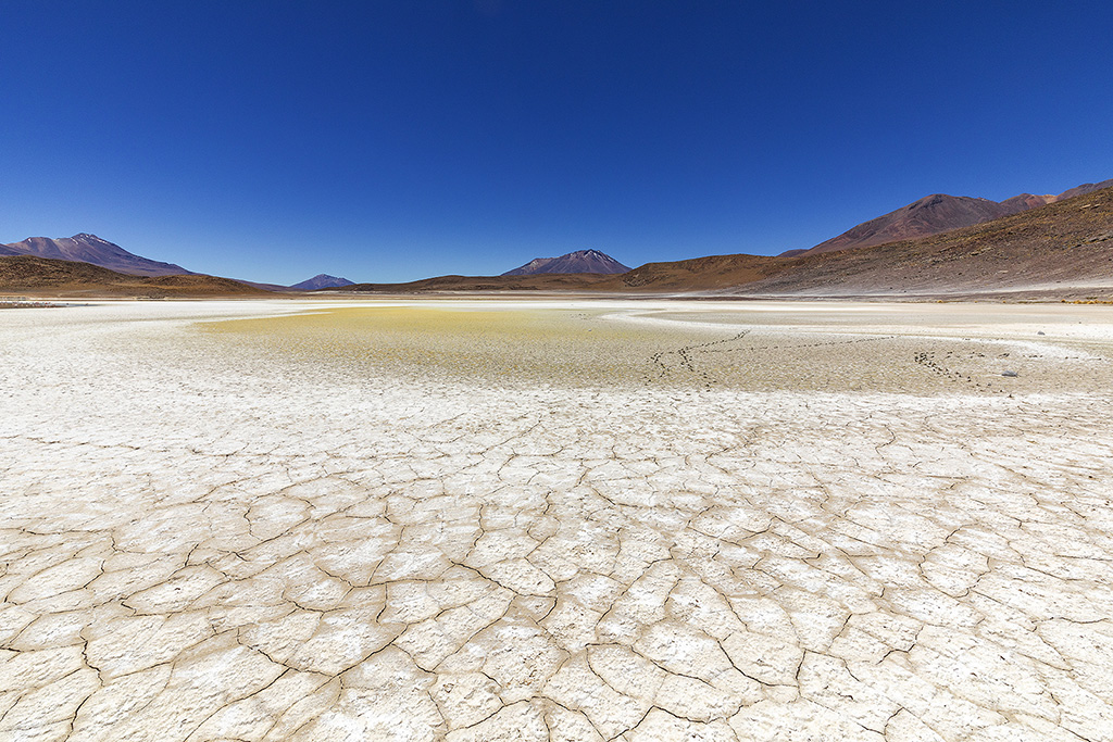 Bolivia Laguna Honda