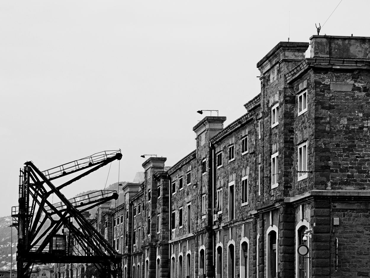 Les Docks ... nostrani (TS)