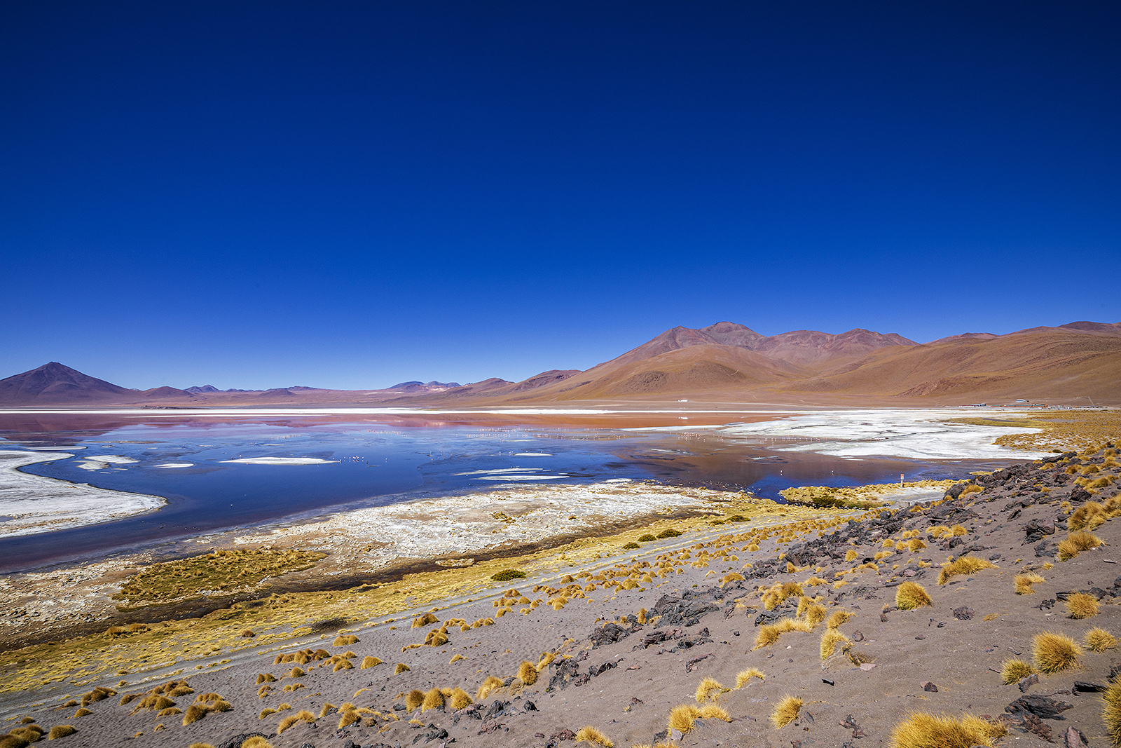laguna Colorada