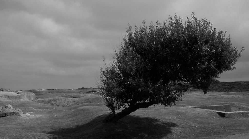 normandia - zona dello sbarco