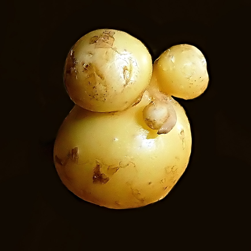 *** Fantasy Potato ***