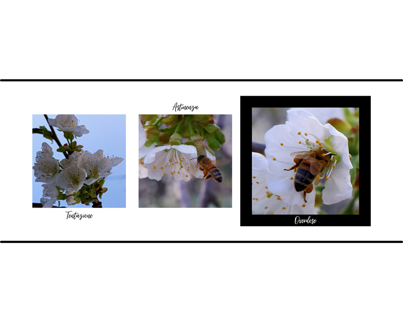 Tentazione - Astinenza - Overdose