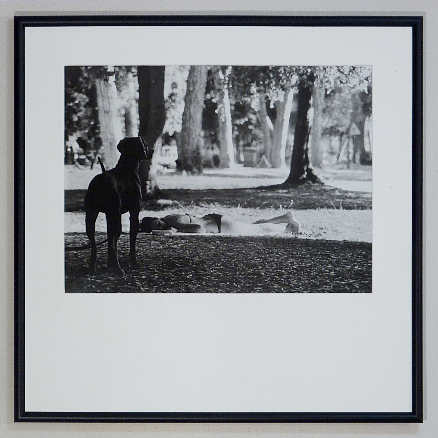 Guardiano dei sogni.