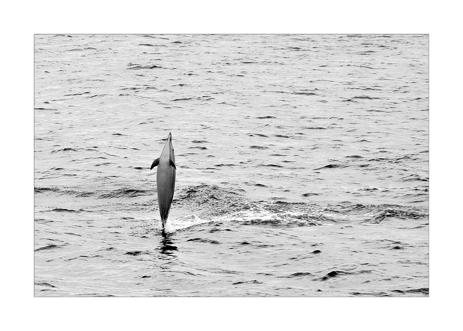 Esibizione spontanea