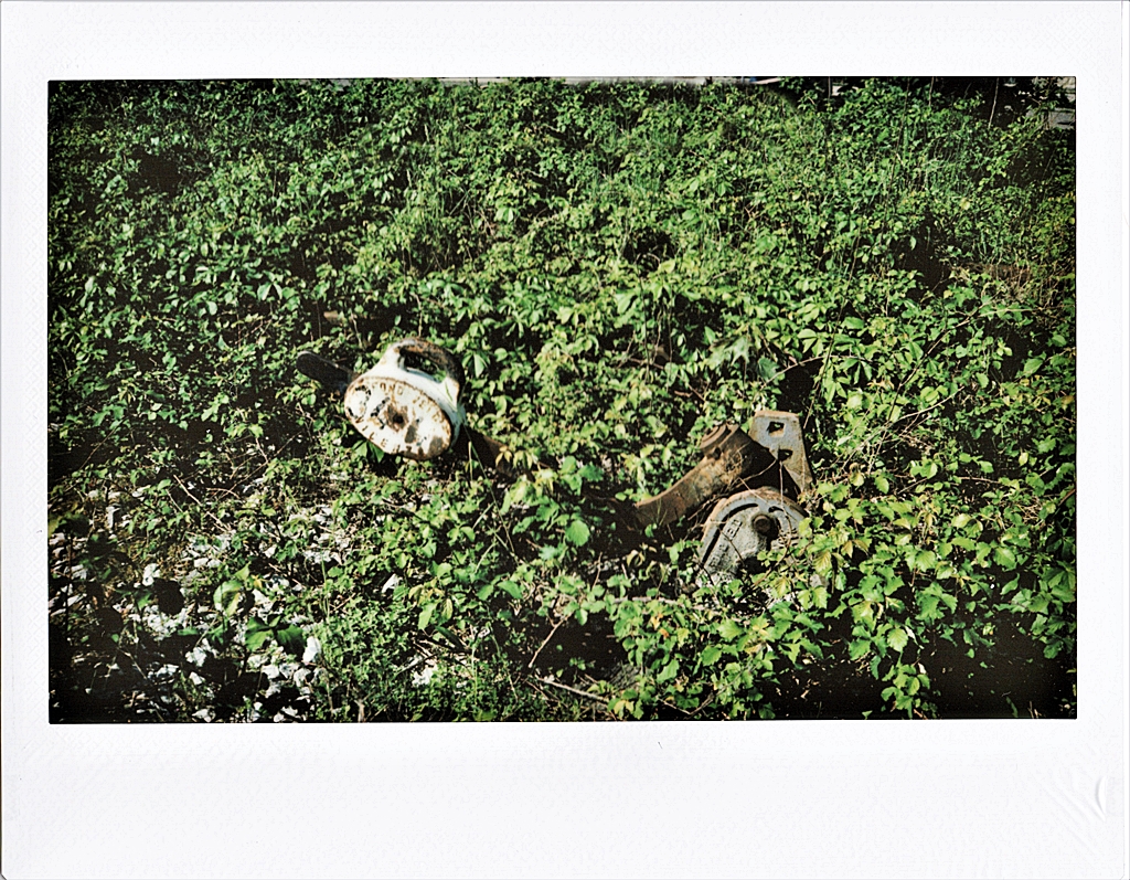 Senza alternative...