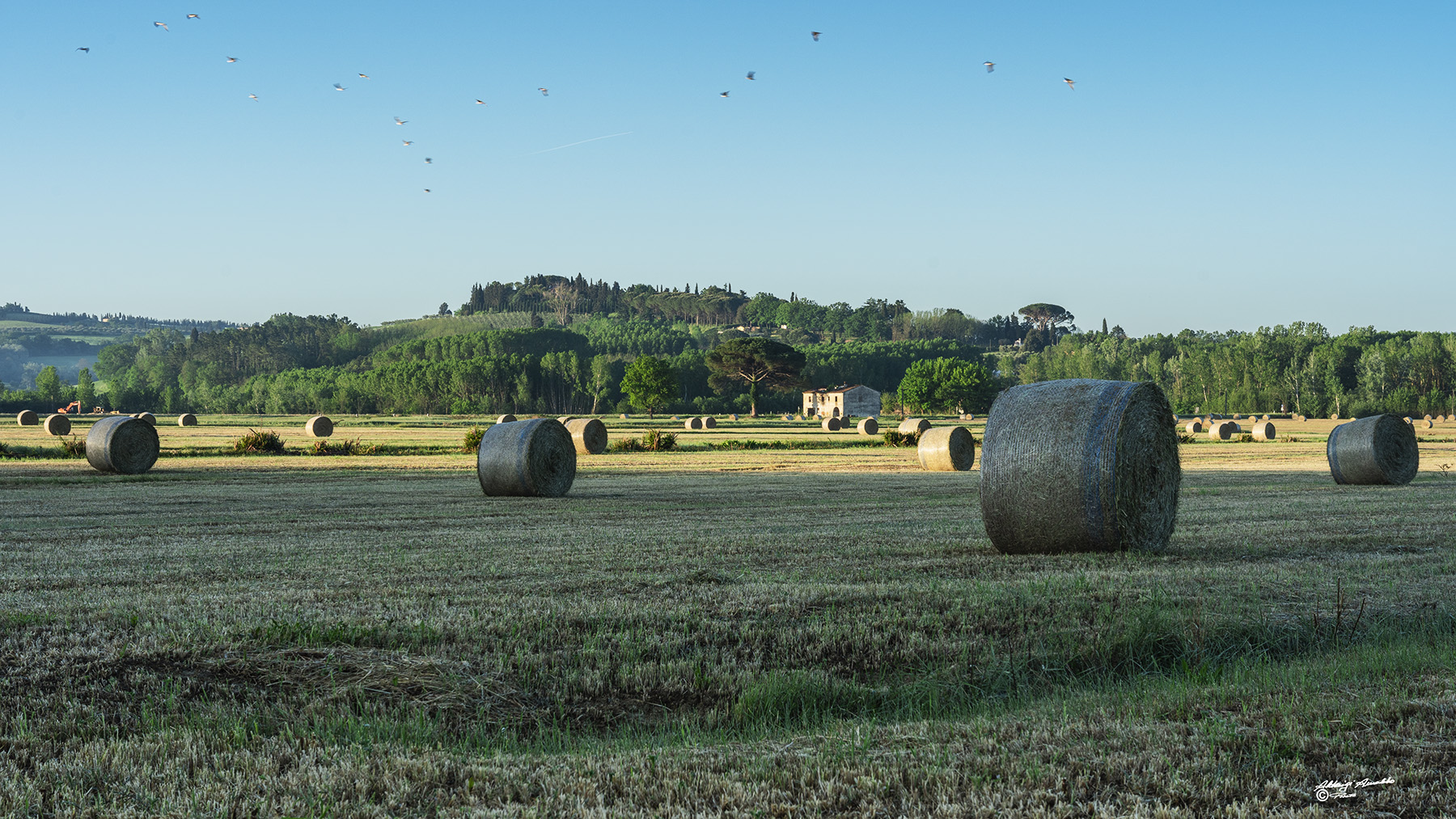 Round bales.