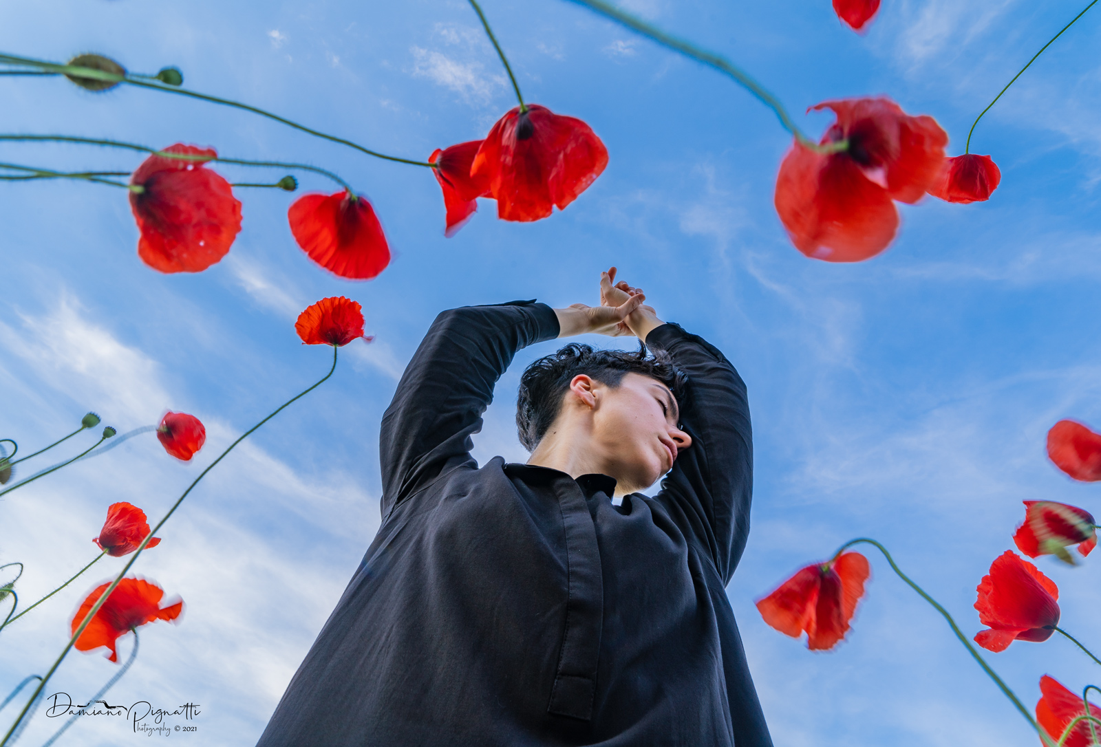 Come un fiore che vuole il cielo