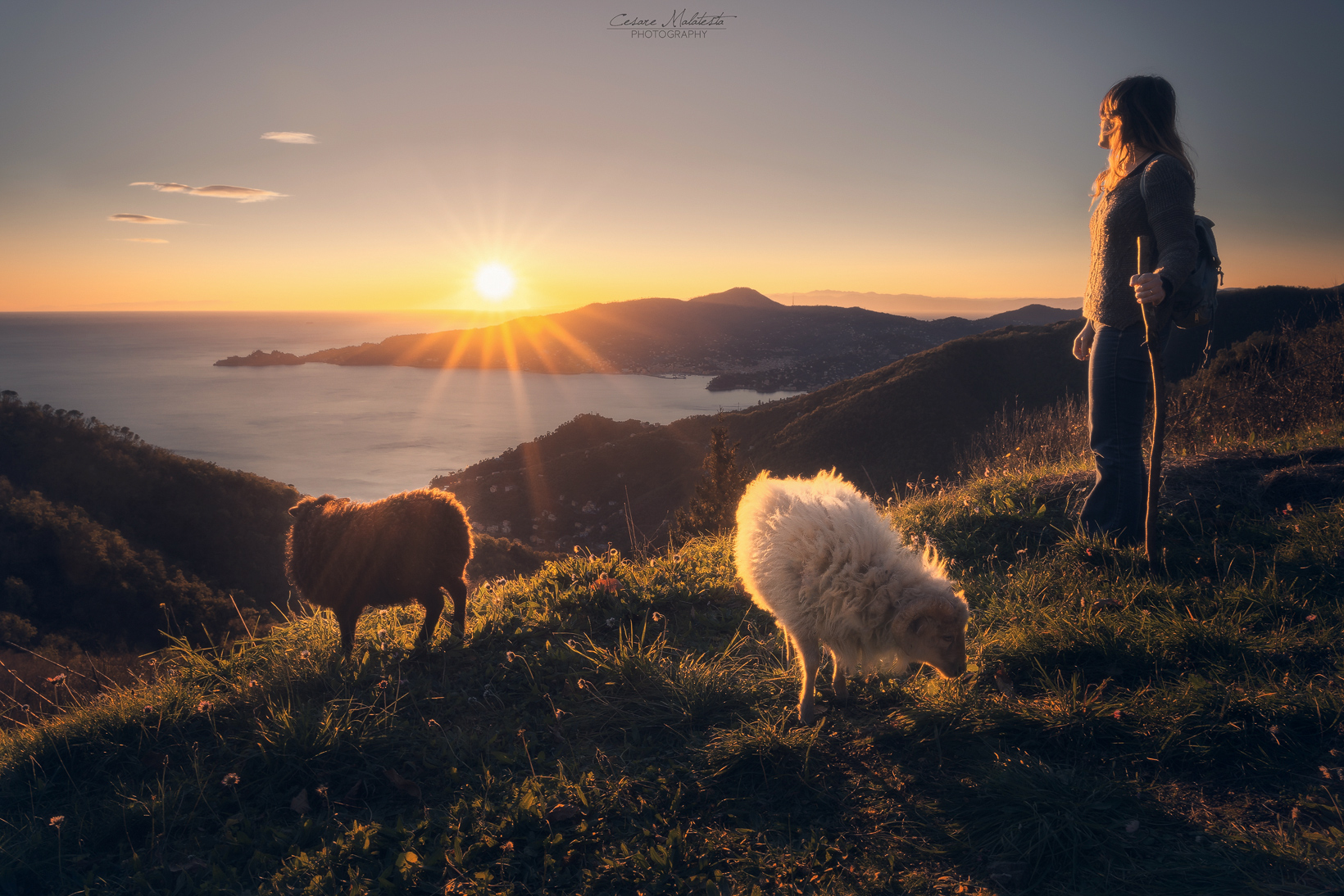 Pastore e gregge nell'idilliaco