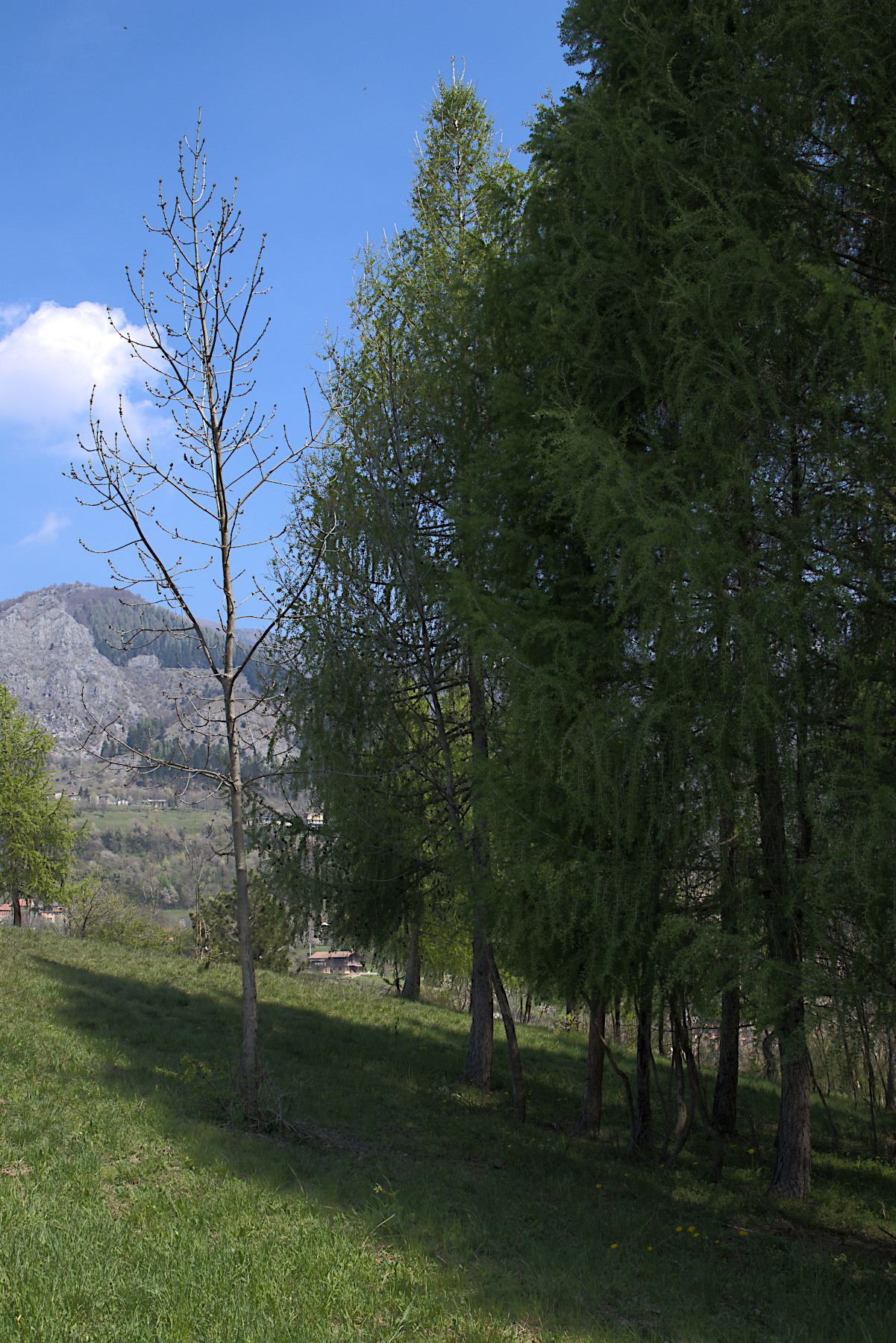 Ricchezza e povert�