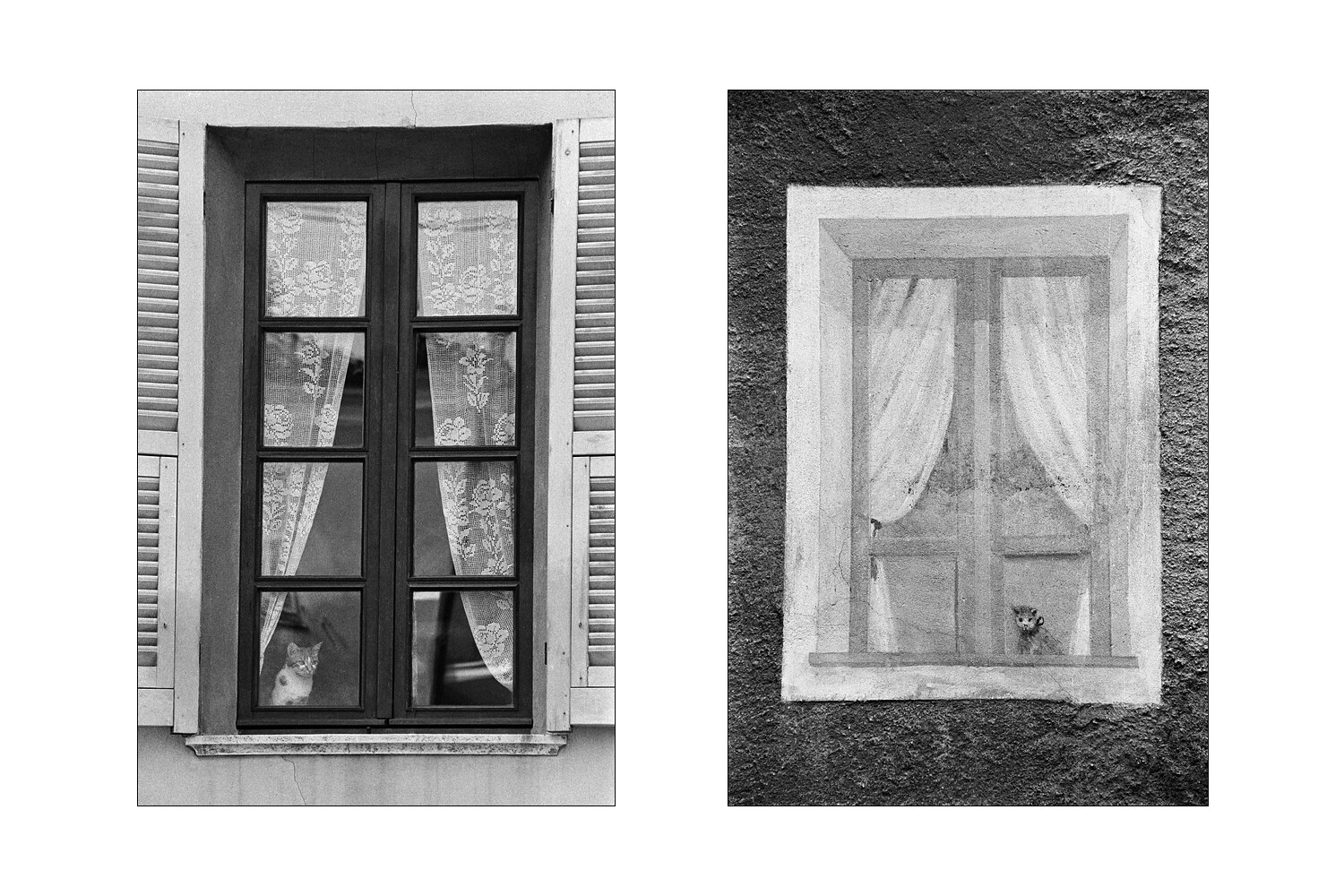 Realt� e interpretazione