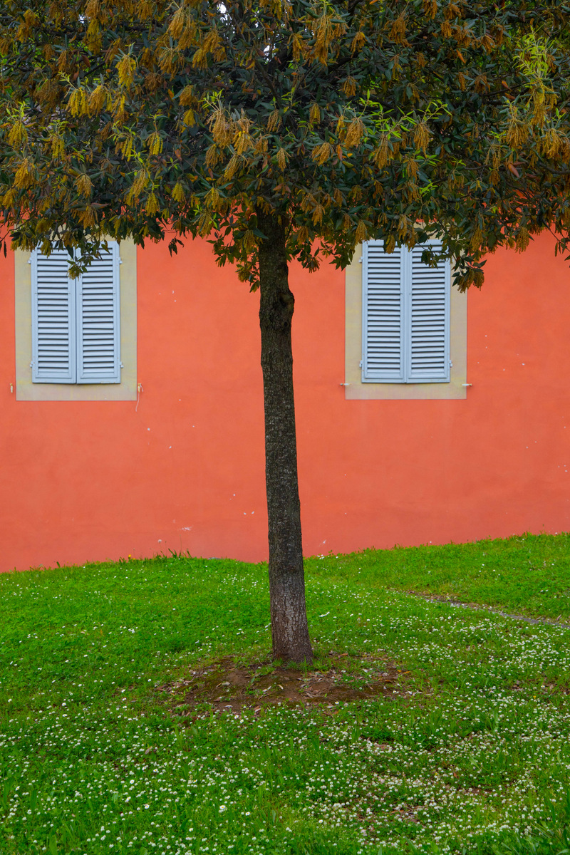 Questa faccia mi ricorda qualcuno