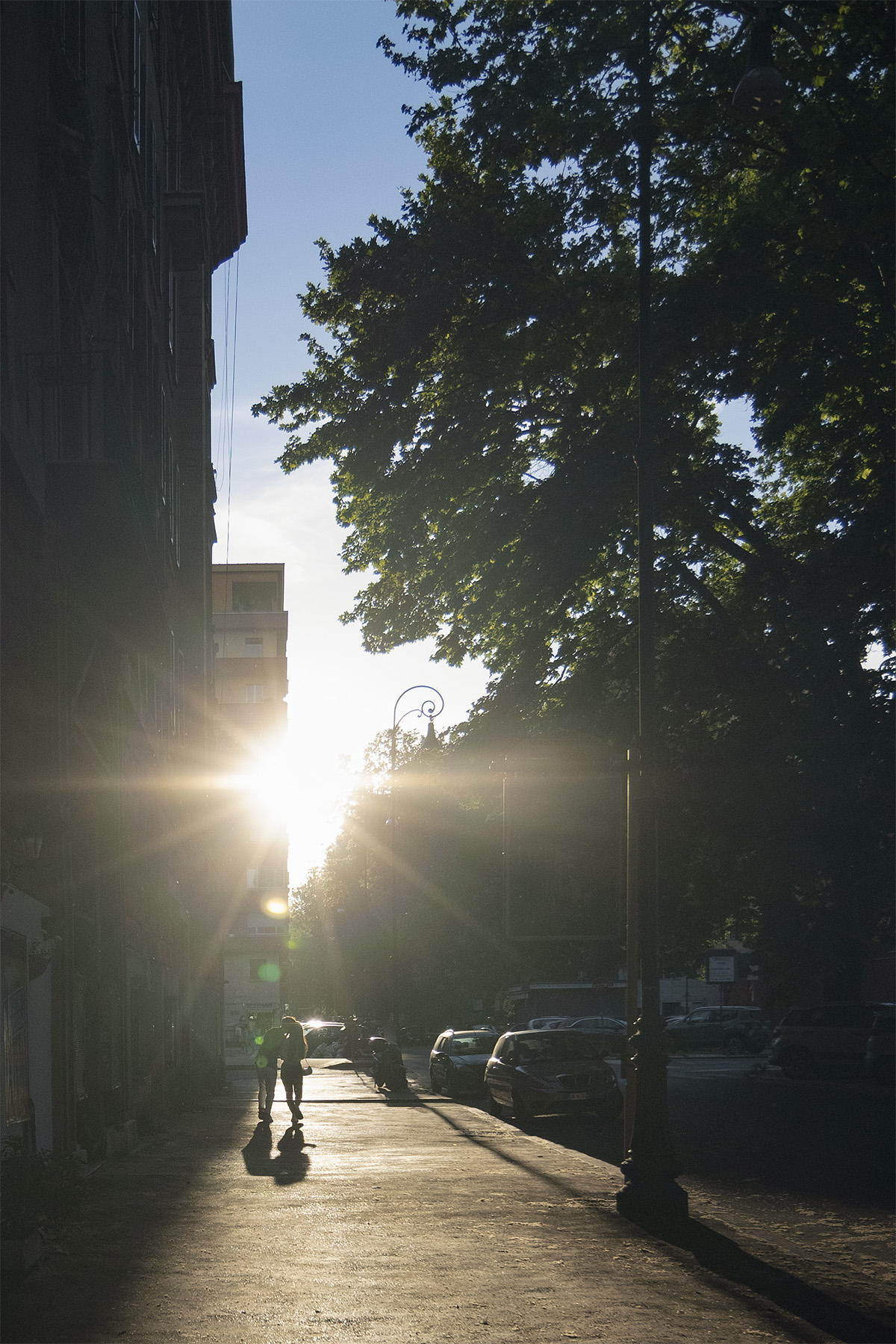Love_in_the_sun