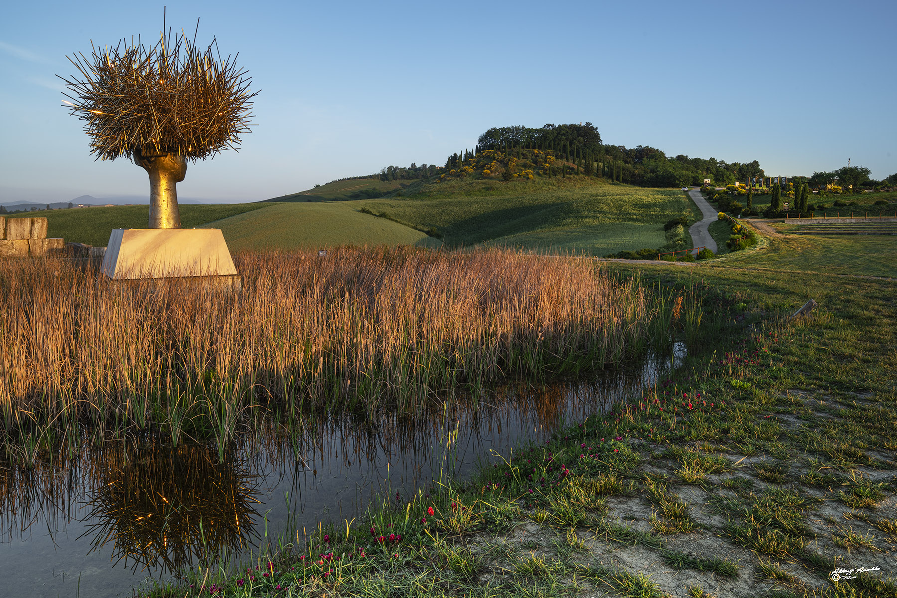 Clio Dorada..Teatro del Silenzio Lajatico..