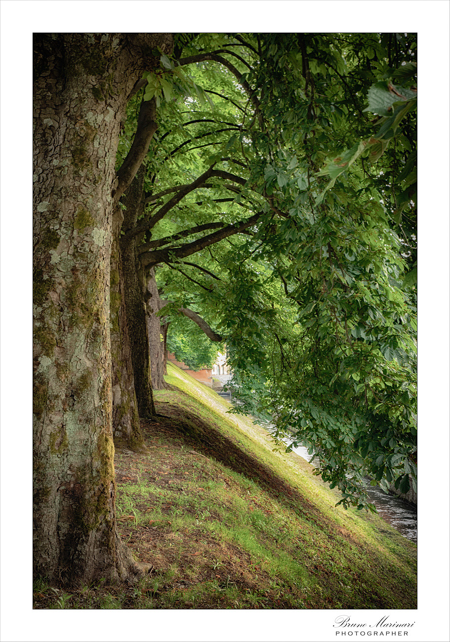 Angoli di citt�, Lucca