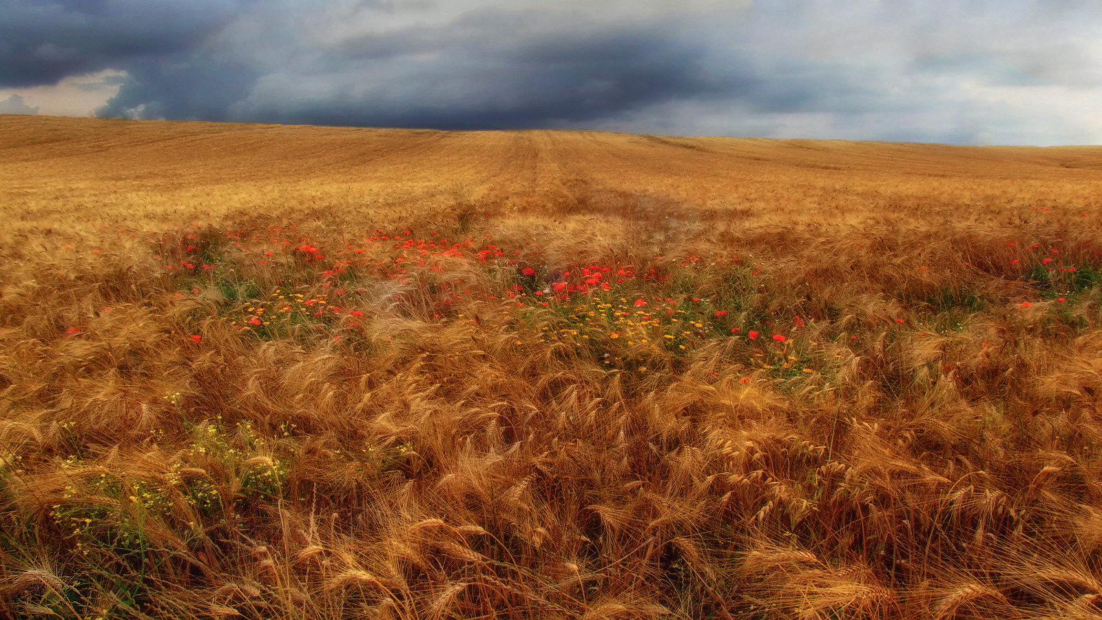 resistere all' inglobamento