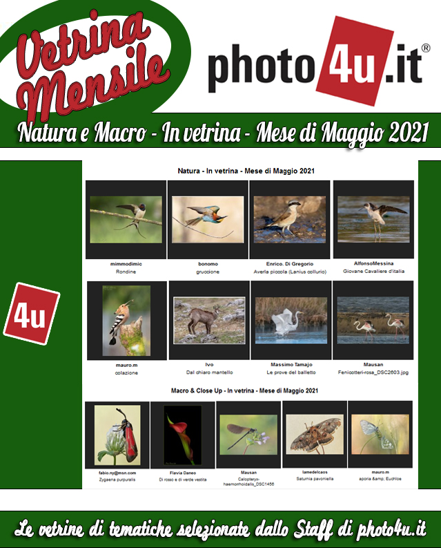 Natura e Macro - In vetrina - Mese di Maggio 2021