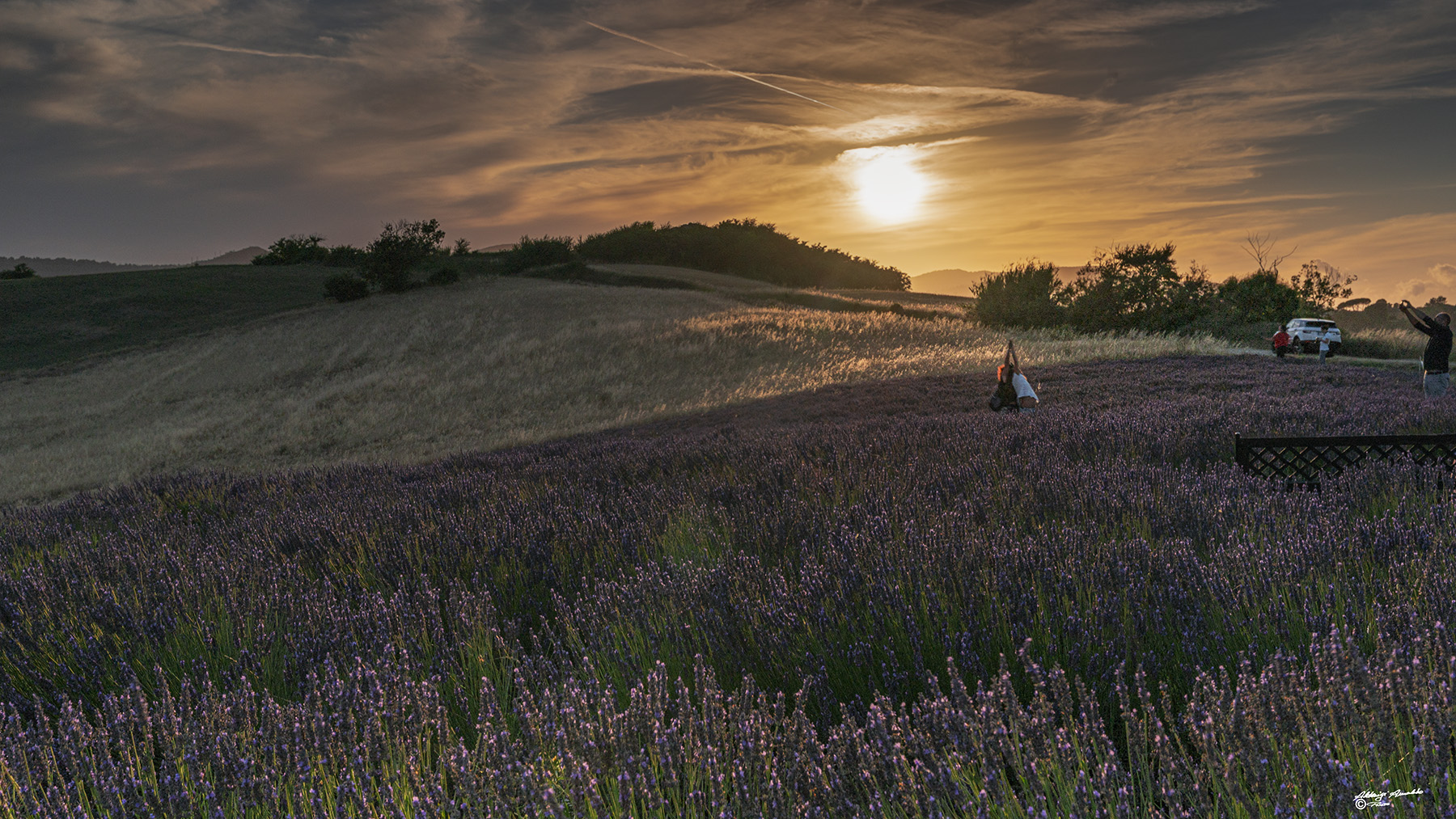 Lavanda al tramonto..